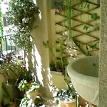 Orizzonte 3*