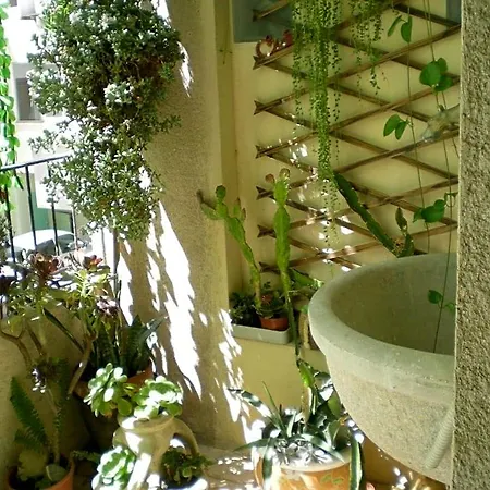 奥里宗住宿加早餐旅馆 住宿加早餐酒店 3*