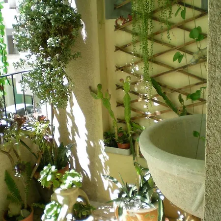 奥里宗住宿加早餐旅馆 3*